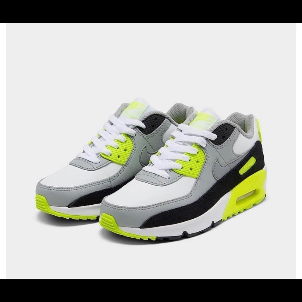 Nike Air Max 90 (Big Kid)